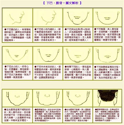 圓下巴面相|面相大全——下巴